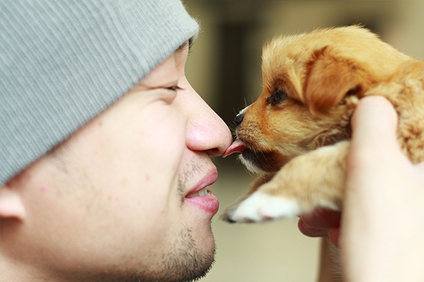 dog kissing mans nose